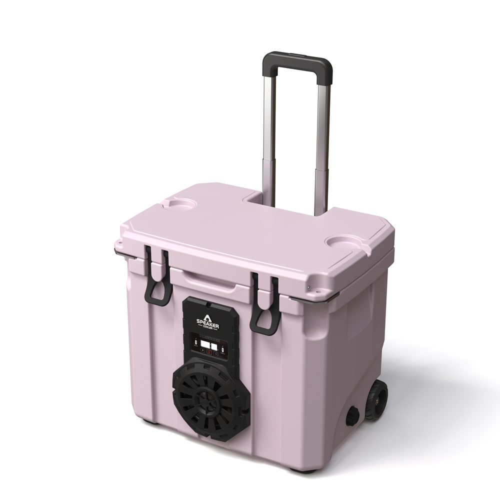 35L Outdoor Insulated Waterpro - Speakers 评论和价格